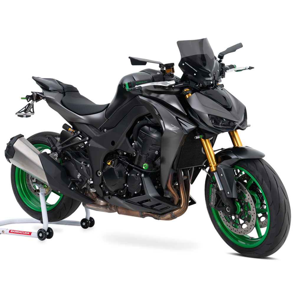 Kawasaki-Z1100