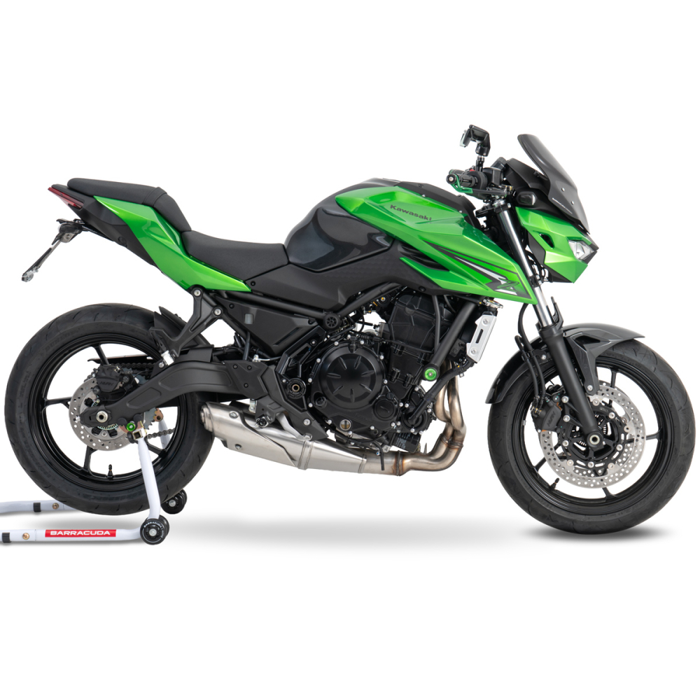 kawasaki